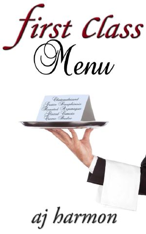 [First Class Novels 06] • First Class Menu